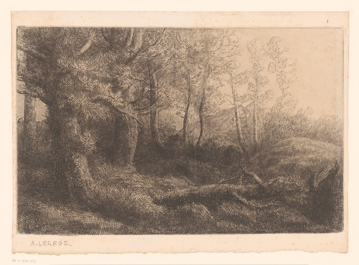 erdő kilátás alkotó: Alphonse Legros (attributed to)