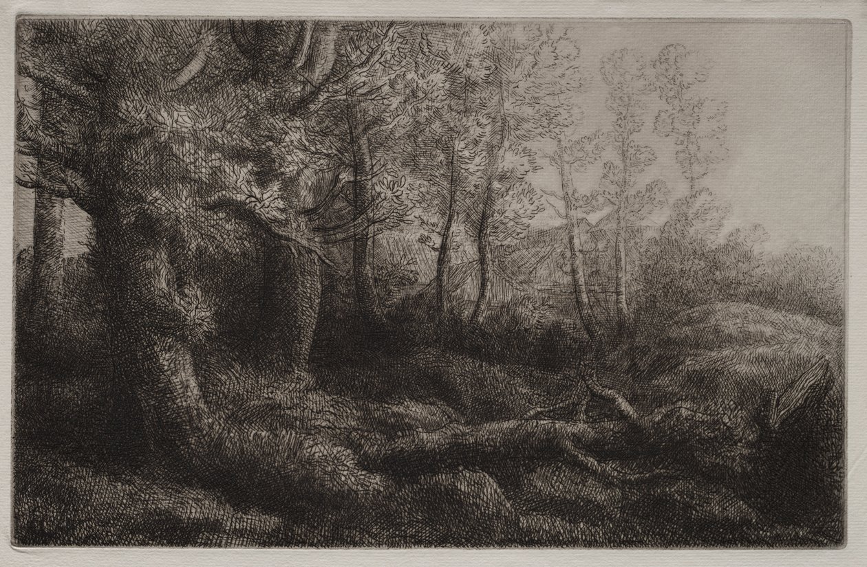 Egy erdővidéki tanulmány alkotó: Alphonse Legros