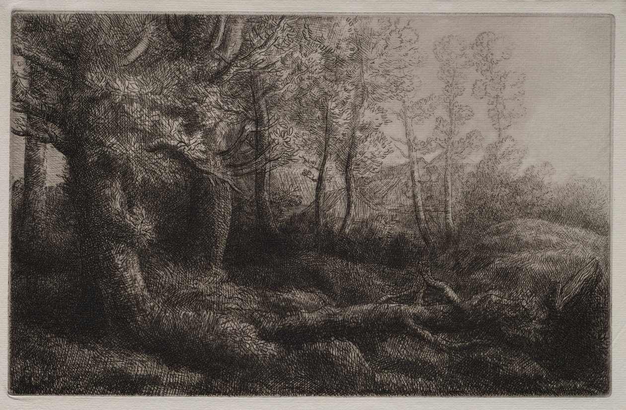 Egy erdővidéki tanulmány. alkotó: Alphonse Legros