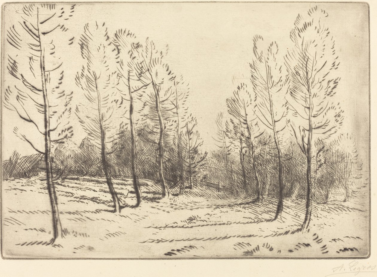 Nyárfák sugárútja alkotó: Alphonse Legros