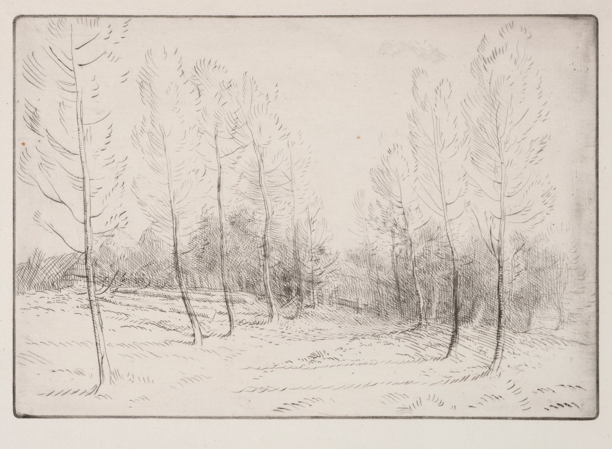 Nyárfák sugárútja alkotó: Alphonse Legros