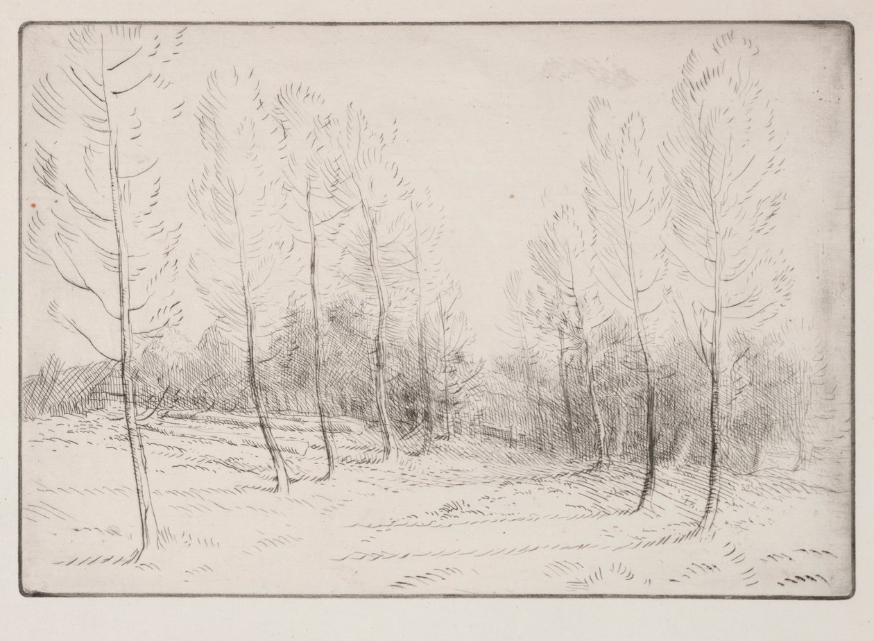 Nyárfák sugárútja. alkotó: Alphonse Legros