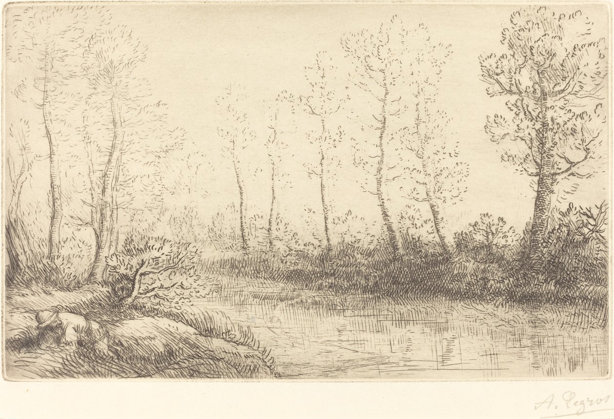 Nyírfák: Hajnali fényben látható víz széle Nyírfák: Hajnali fényben látható víz széle. alkotó: Alphonse Legros