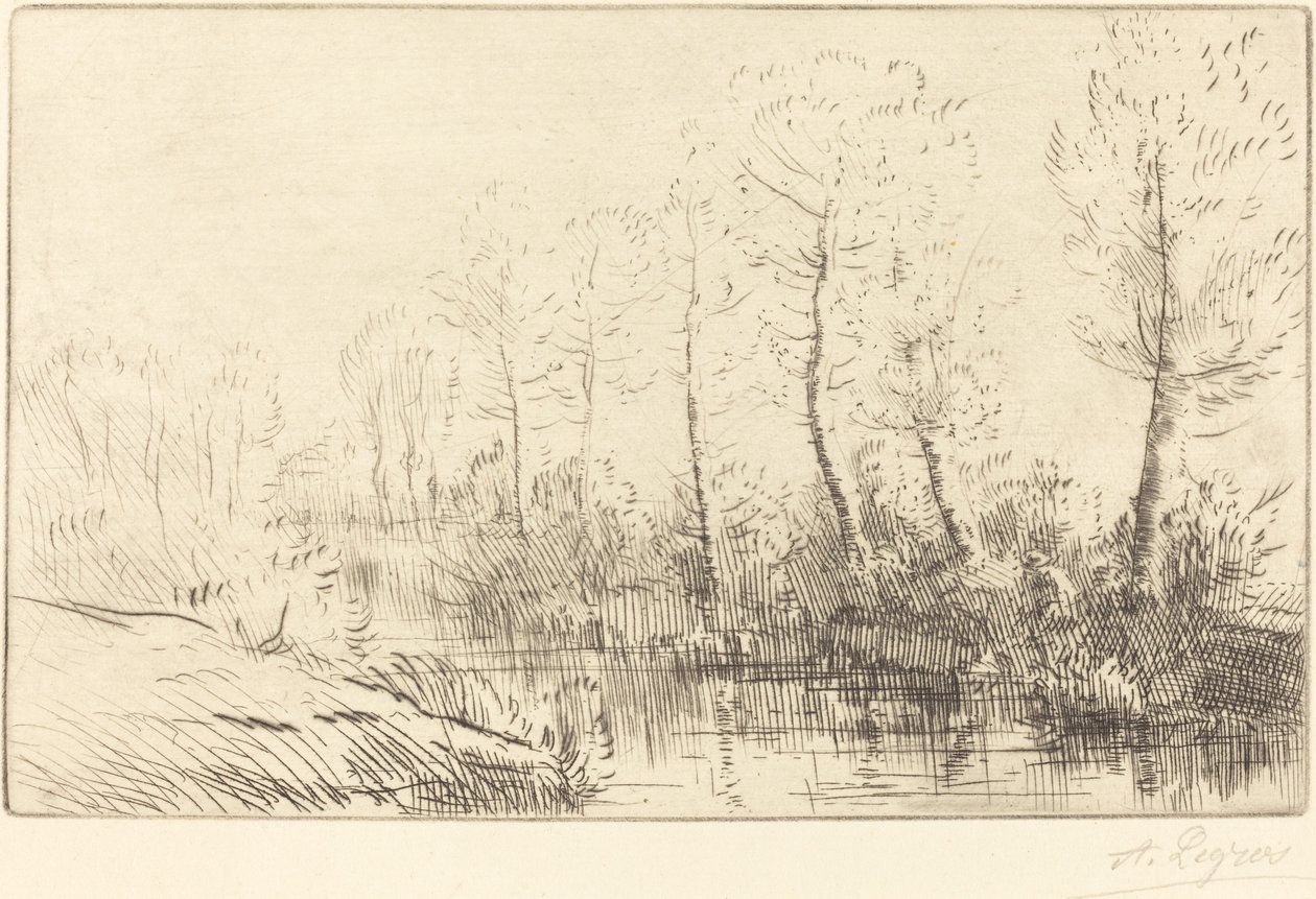 Nyírfák: Víz széle reggel fényben Nyírfák: Víz széle, Reggeli hatás. alkotó: Alphonse Legros