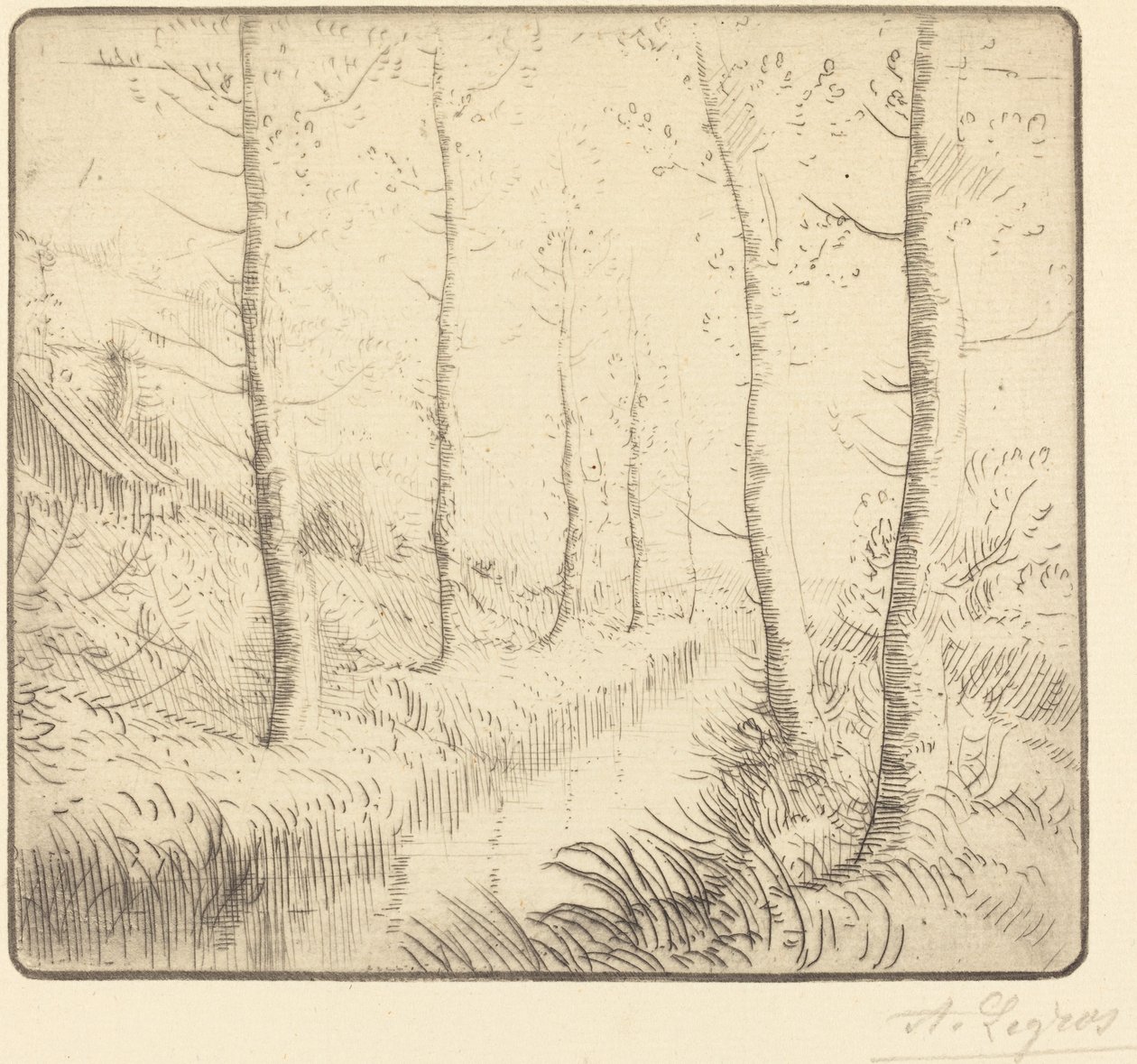 Nyírfák a víz mentén alkotó: Alphonse Legros
