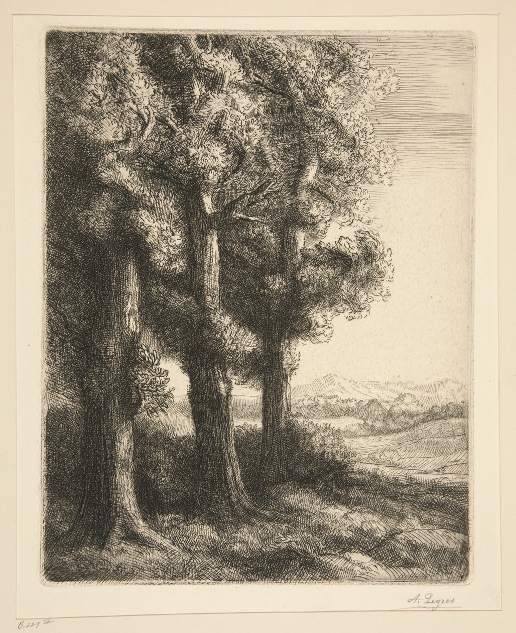 Egy erdő sarka alkotó: Alphonse Legros