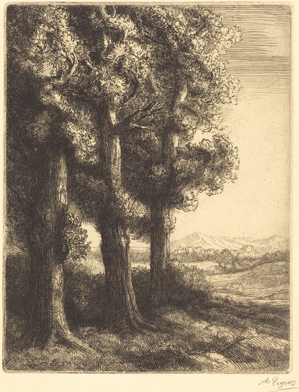 Corner of a Wood (Egy erdő szélén) alkotó: Alphonse Legros