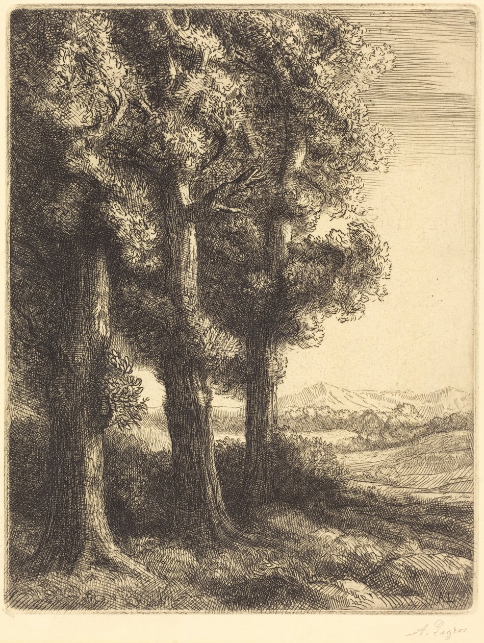 Corner of a Wood (Egy erdő szélén) alkotó: Alphonse Legros