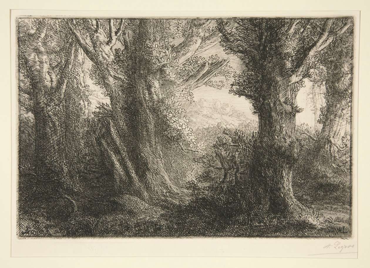 Dans la foret de Conteville (Conteville-i erdőben) alkotó: Alphonse Legros