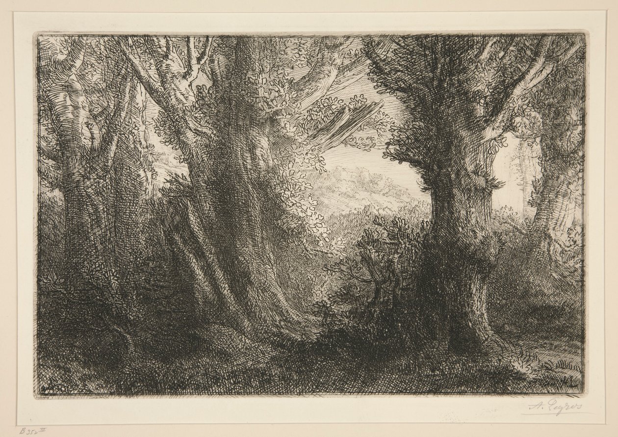 Dans la foret de Conteville (A Conteville-i erdőben0 alkotó: Alphonse Legros