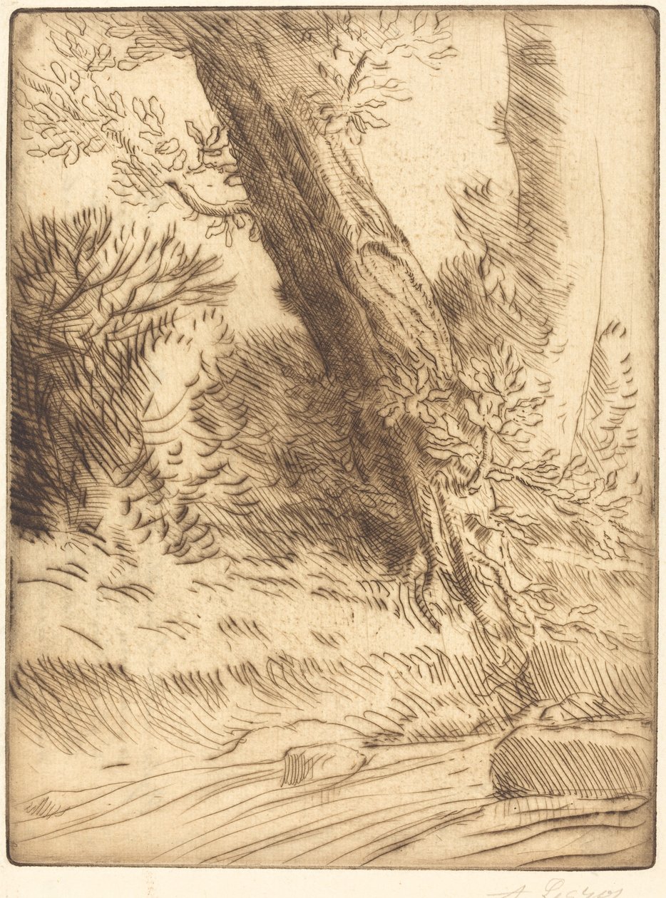 Bord de ruisseau patak széle. alkotó: Alphonse Legros