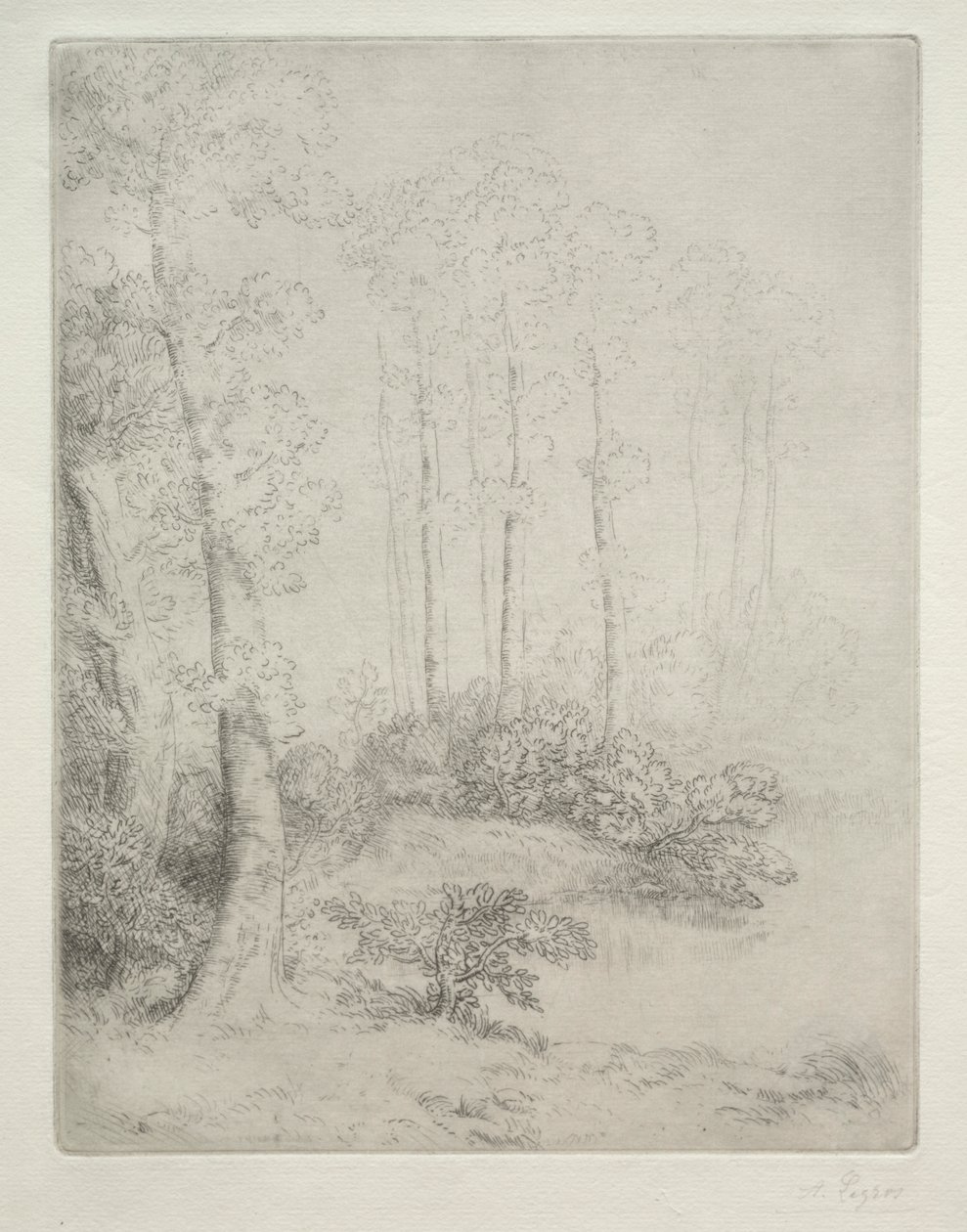 A víz széle alkotó: Alphonse Legros
