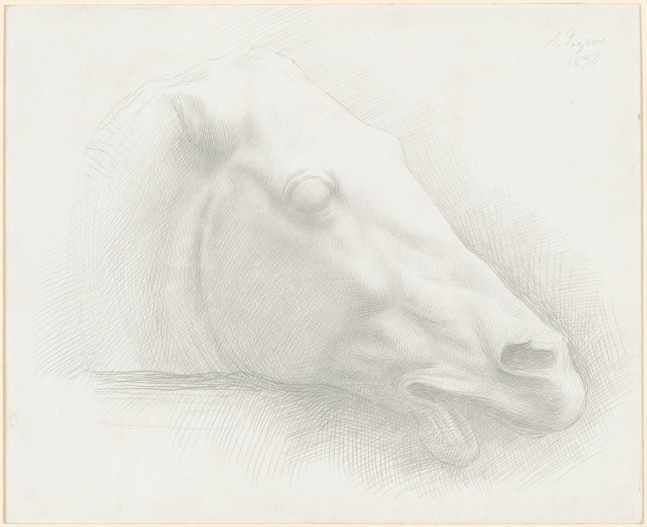 Egy ló feje a Parthenonból, 1898. alkotó: Alphonse Legros