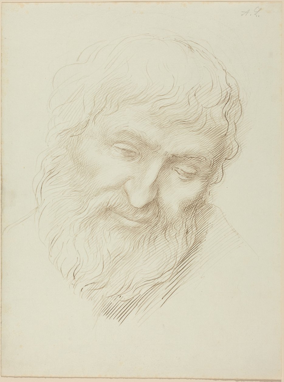 Egy férfi feje alkotó: Alphonse Legros