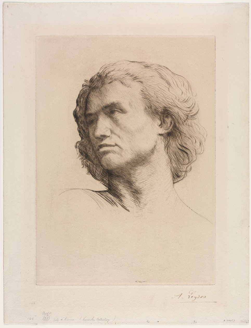 Egy ember feje. alkotó: Alphonse Legros