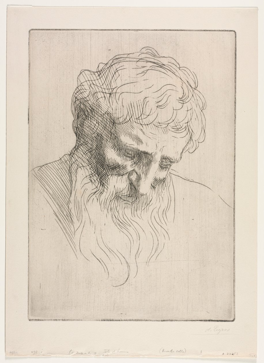 Egy ember feje. alkotó: Alphonse Legros