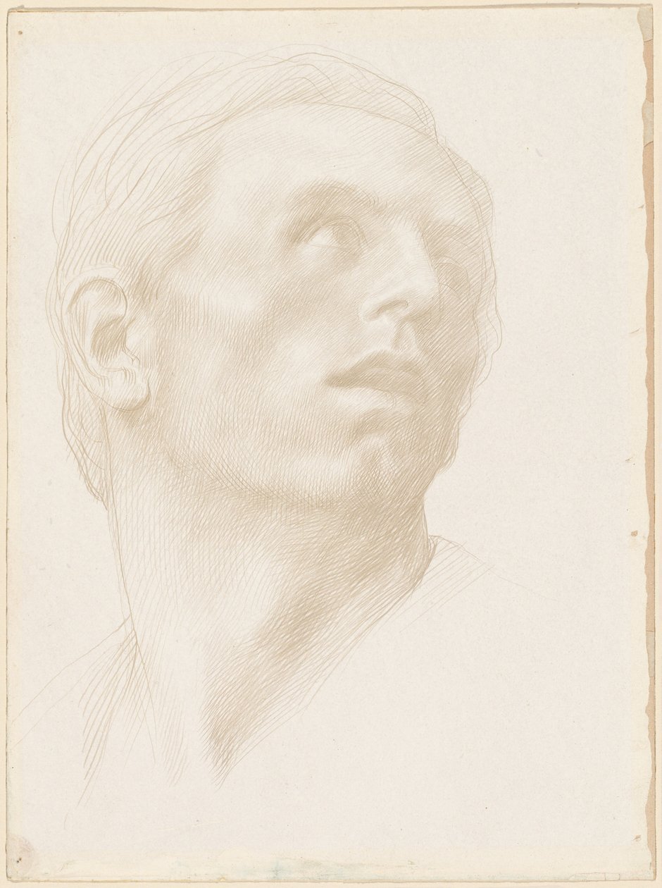 Egy jobbra néző ember feje, 1890-es évek. alkotó: Alphonse Legros