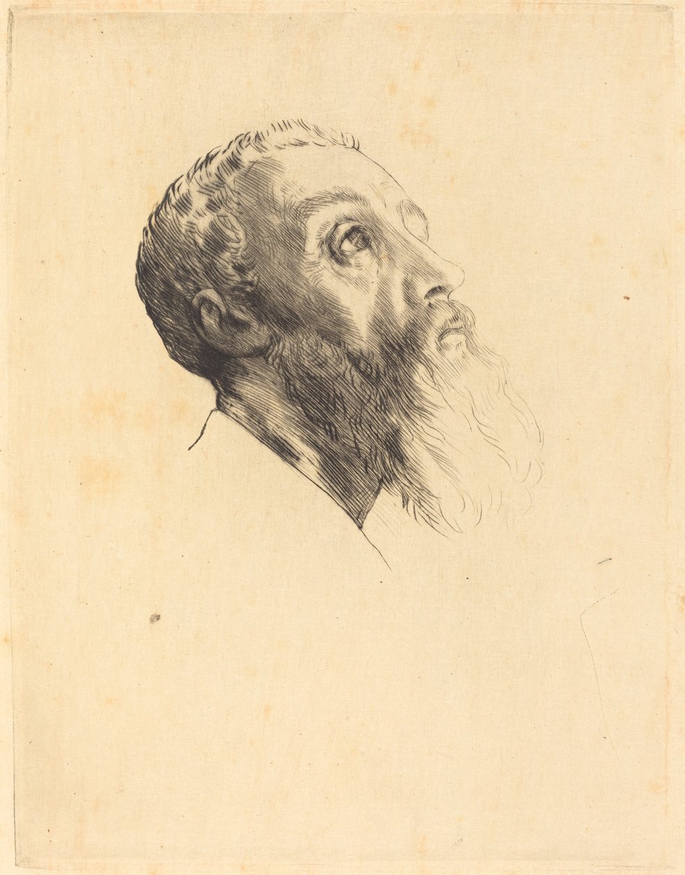 Egy modell vezetője alkotó: Alphonse Legros