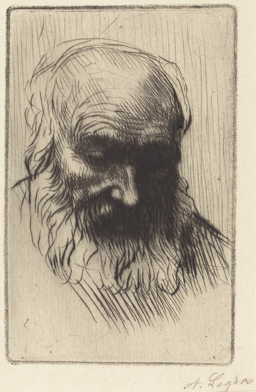 Egy öregember feje (Etude de tete) alkotó: Alphonse Legros