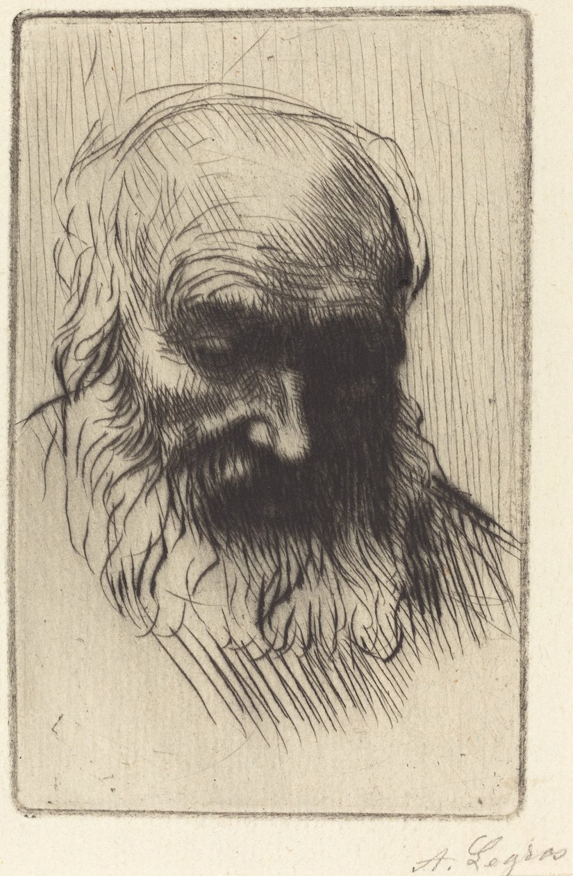Egy Öreg Etude de tete feje. alkotó: Alphonse Legros