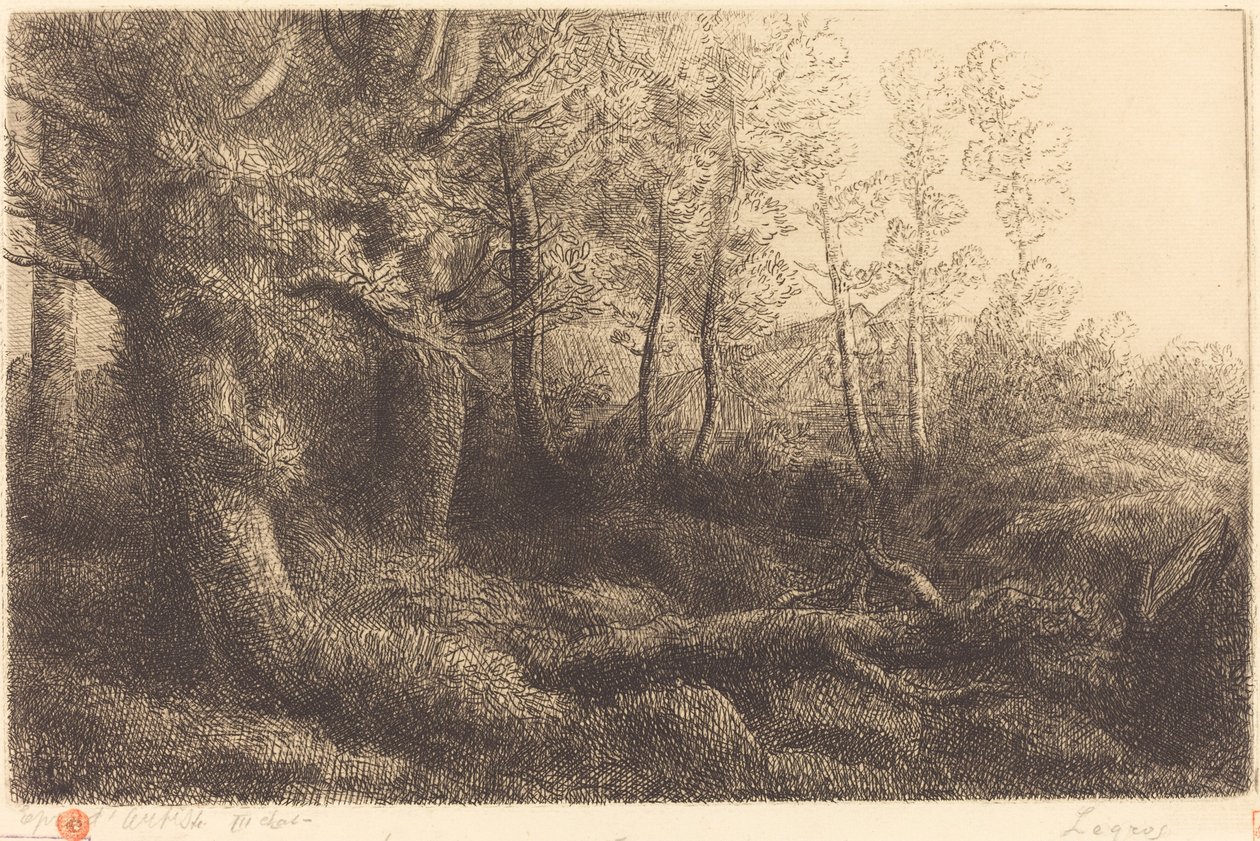 Az erdőben (Lisiere de foret) alkotó: Alphonse Legros