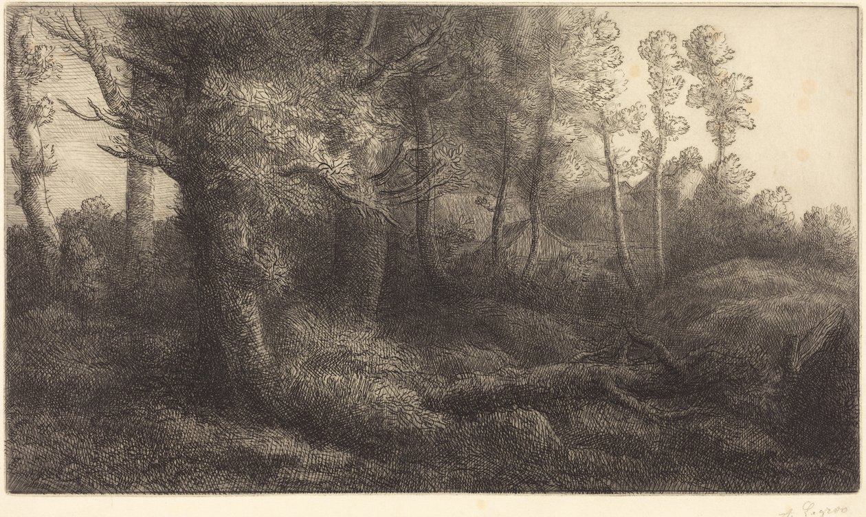 Az erdő szélén (Lisière de forêt) alkotó: Alphonse Legros