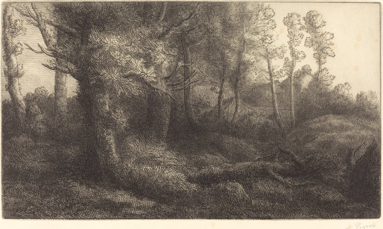 Az erdőben Lisiere de foret. alkotó: Alphonse Legros