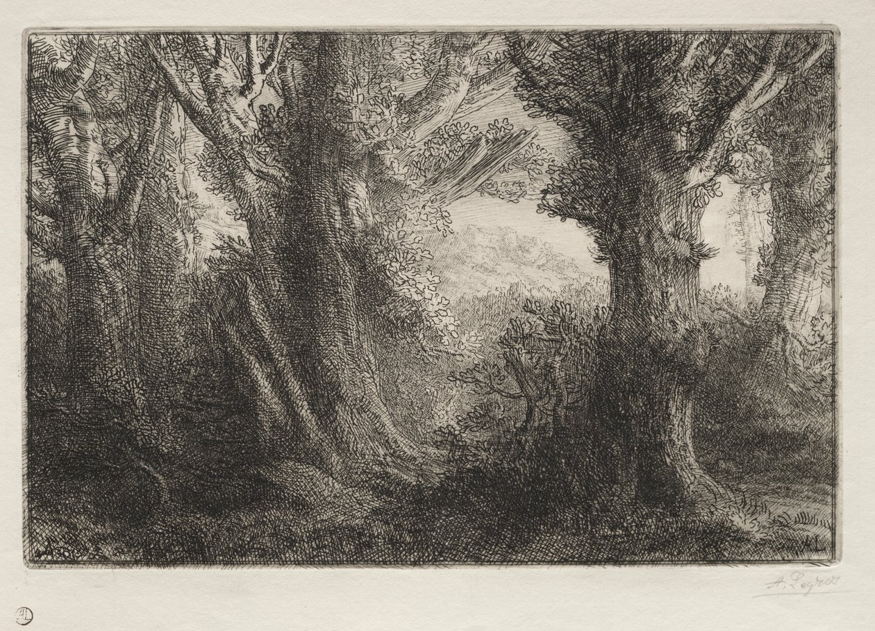 A Conteville-i erdőben. alkotó: Alphonse Legros