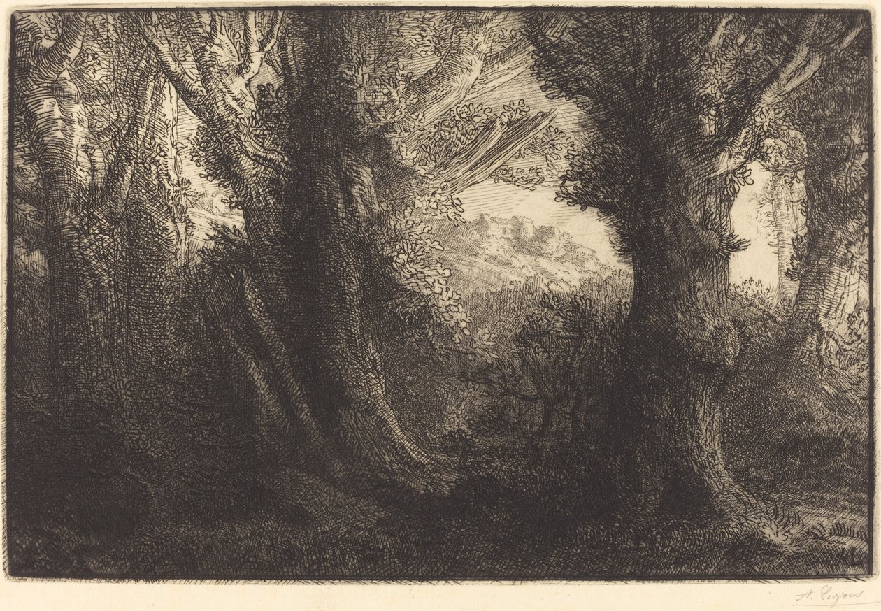 Conteville erdőjében Dans la foret de Conteville. alkotó: Alphonse Legros