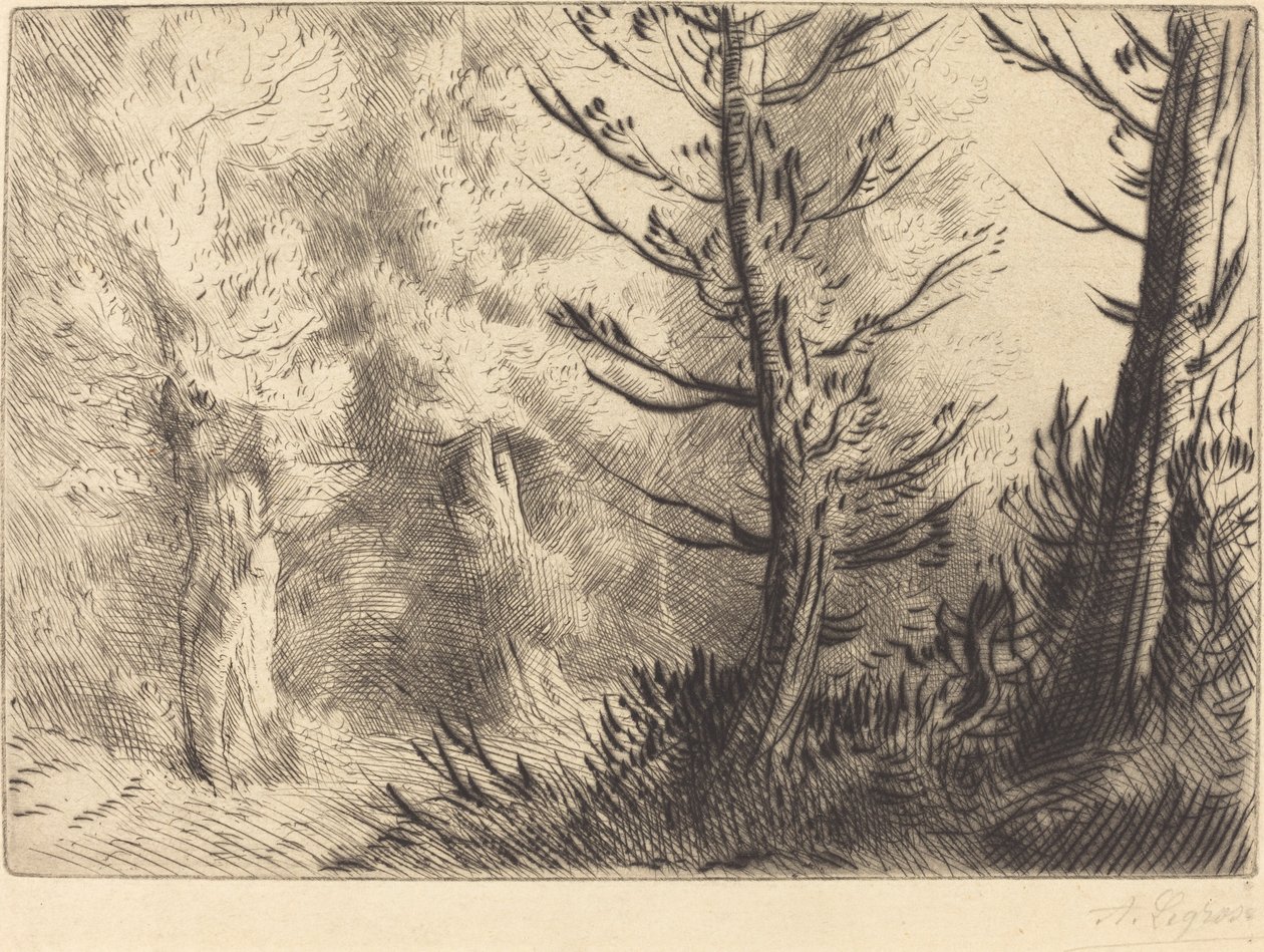 A Fontainebleau-i Erdőben A Fontainebleau-i erdőben. alkotó: Alphonse Legros