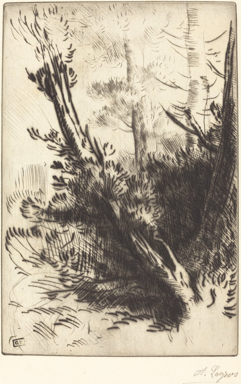 Az erdőben alkotó: Alphonse Legros