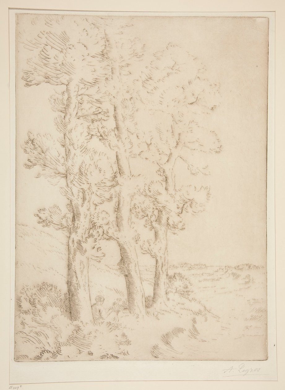 Olvasó nő: lecke a fák alatt alkotó: Alphonse Legros