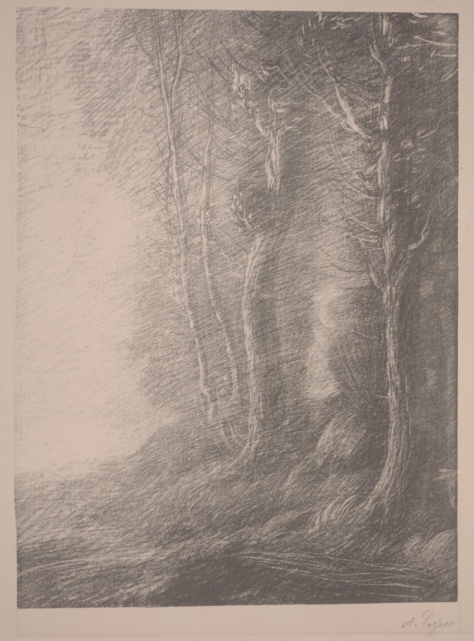 Táj (litho) alkotó: Alphonse Legros