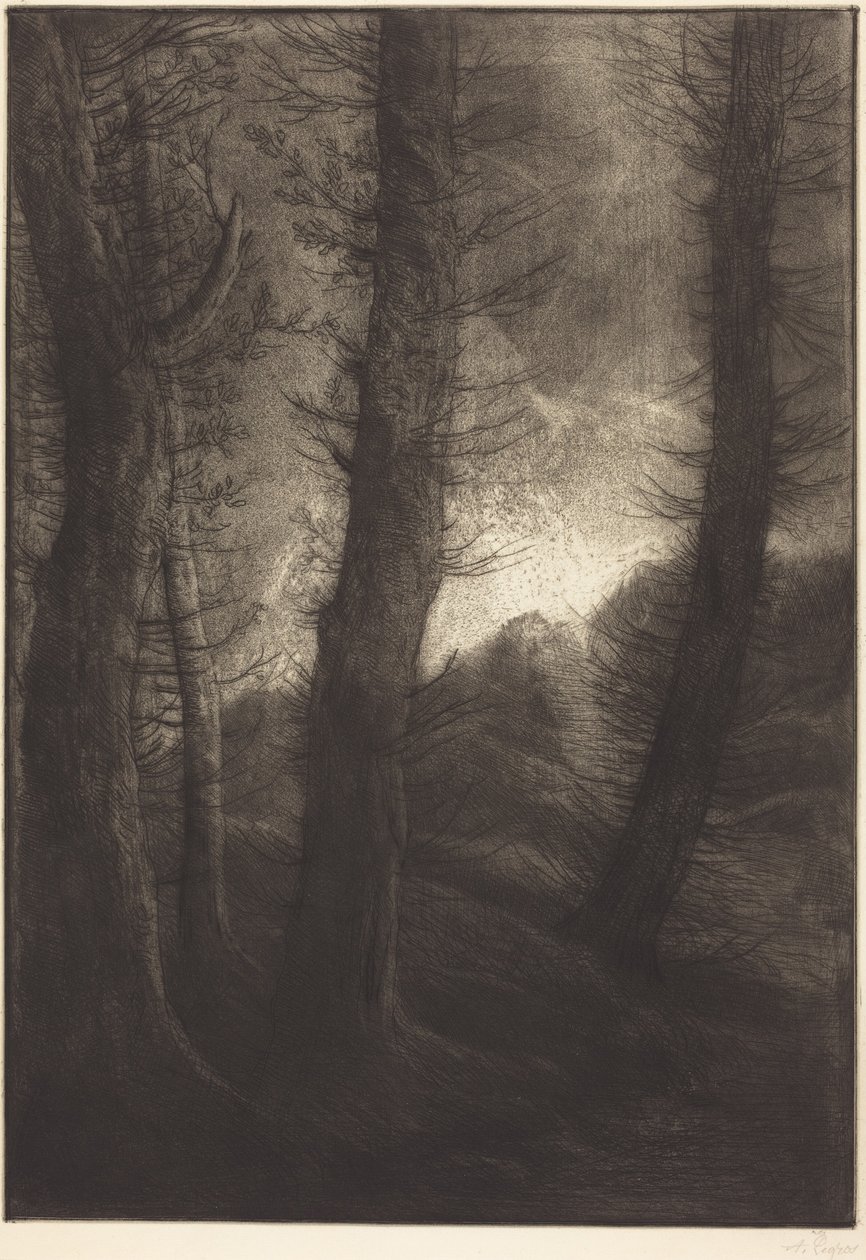 Nagy fák a nap háttérében  (Nagy fák: esti hangulat) alkotó: Alphonse Legros