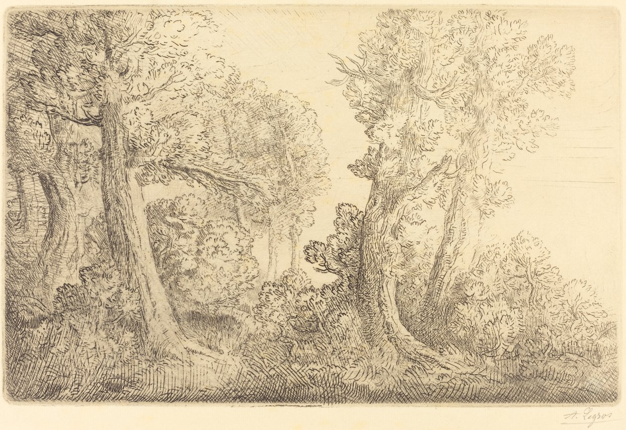 Az erdő közelében, Veronne (Pres du bois, Veronne) alkotó: Alphonse Legros