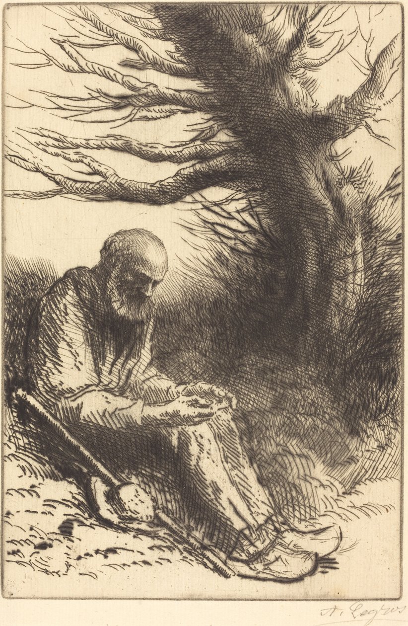 Öreg ember, öreg fa Öreg ember, öreg fa. alkotó: Alphonse Legros