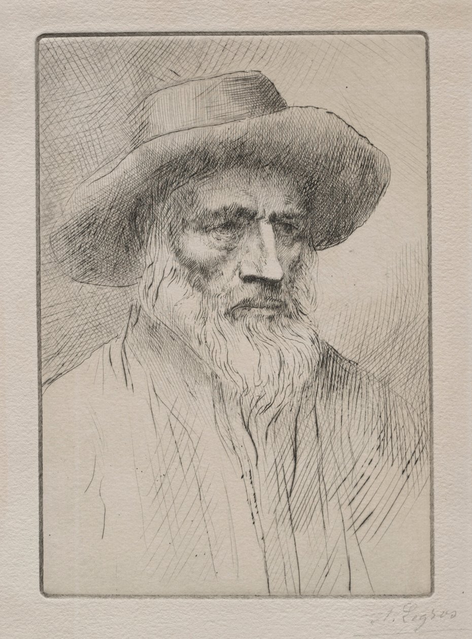 Vogézek parasztja. alkotó: Alphonse Legros
