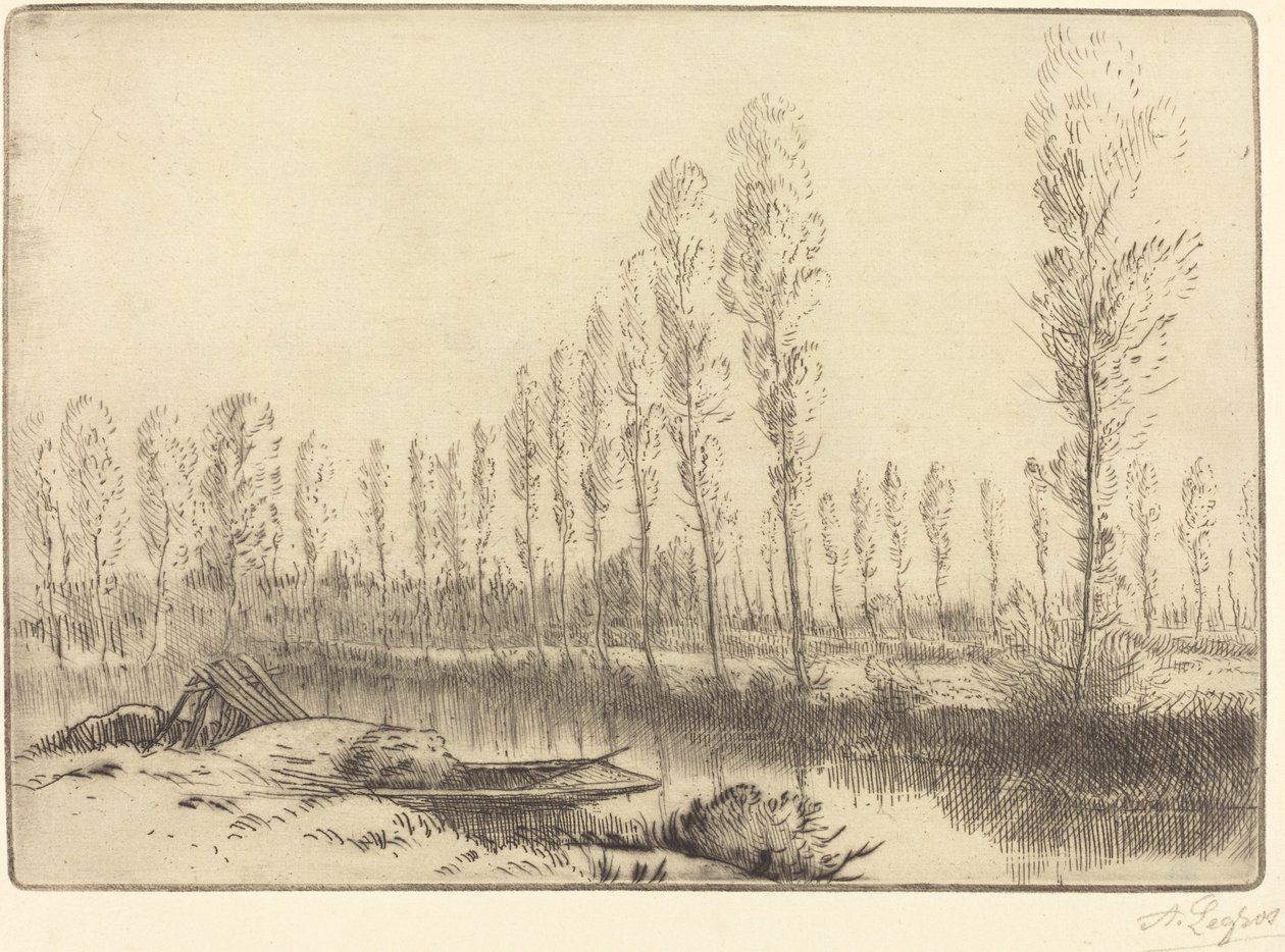 Nyárfák Amiens közelében Amiens közelében, a tőzeglápok. alkotó: Alphonse Legros