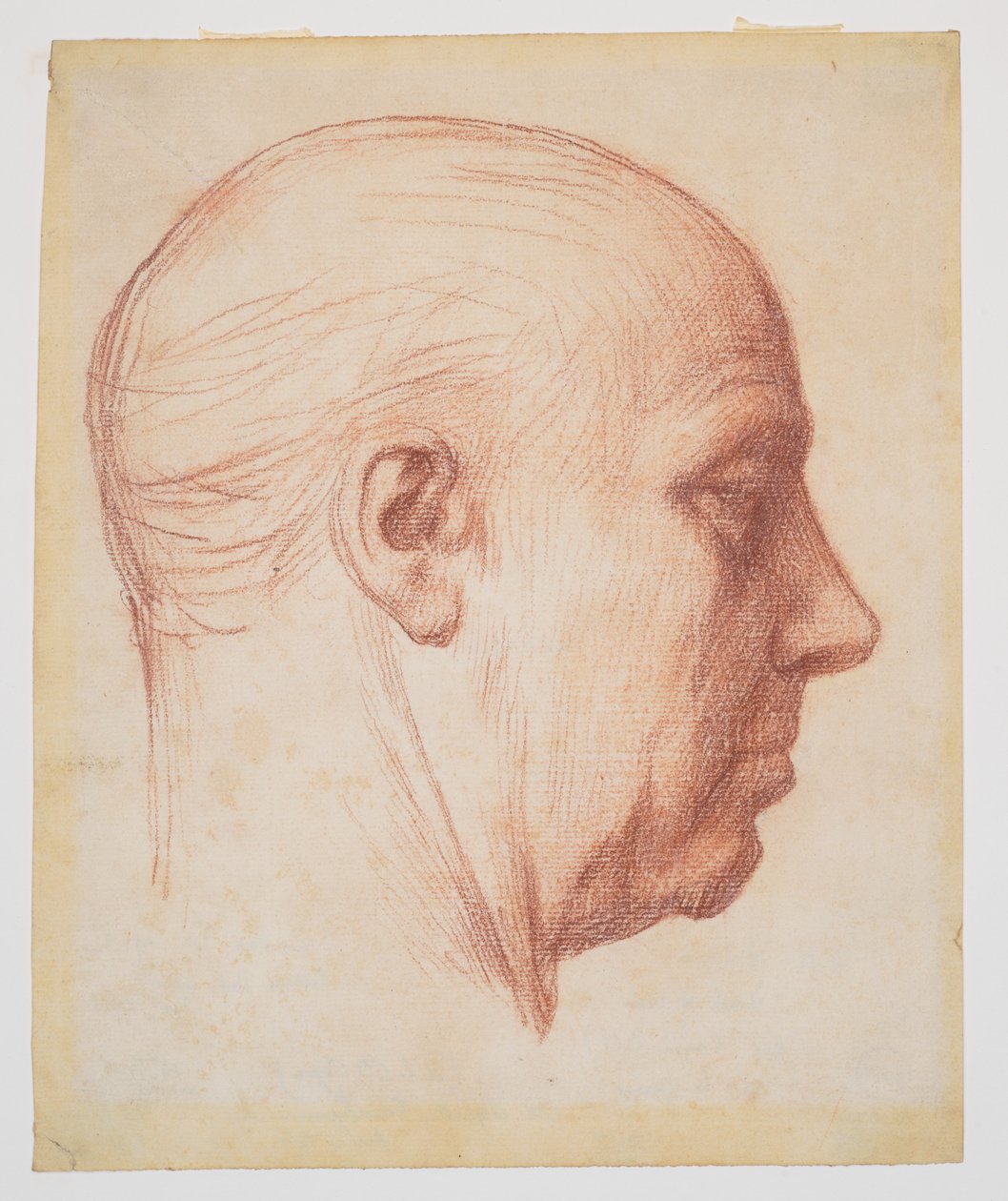 Egy férfi profilja alkotó: Alphonse Legros