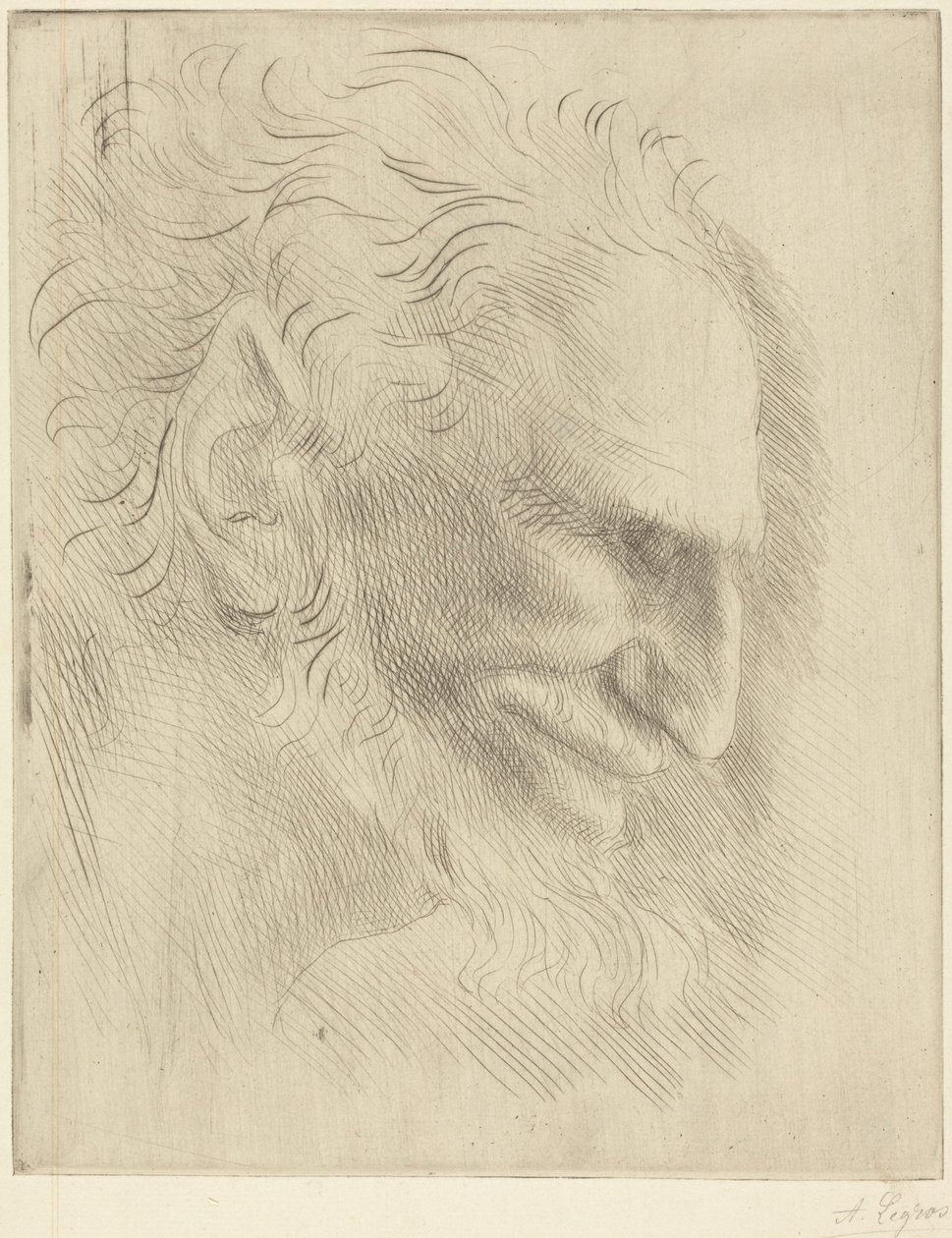 Tanulmány egy férfi fejéhez alkotó: Alphonse Legros