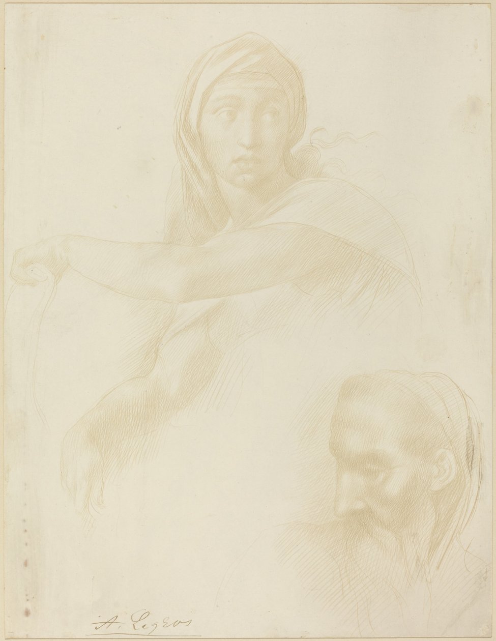 Tanulmány Delphic Sibylről, egy ember fejéről. alkotó: Alphonse Legros