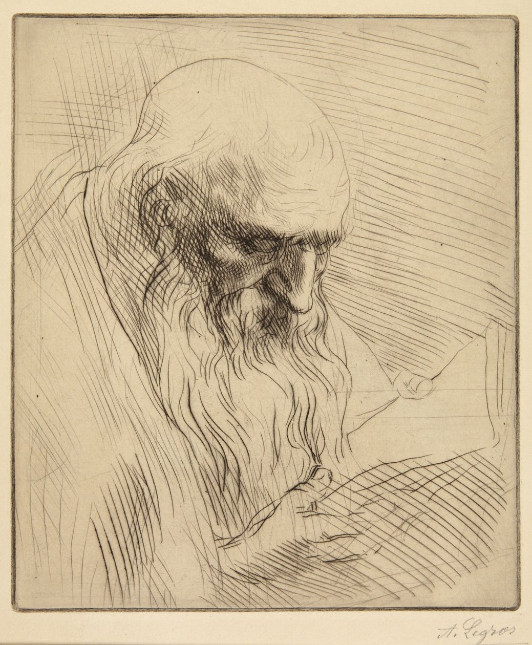 Olvasó öregember tanulmánya alkotó: Alphonse Legros