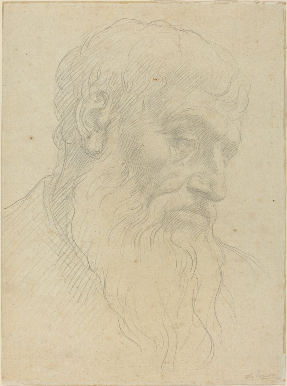 Egy fej tanulmányozása. alkotó: Alphonse Legros