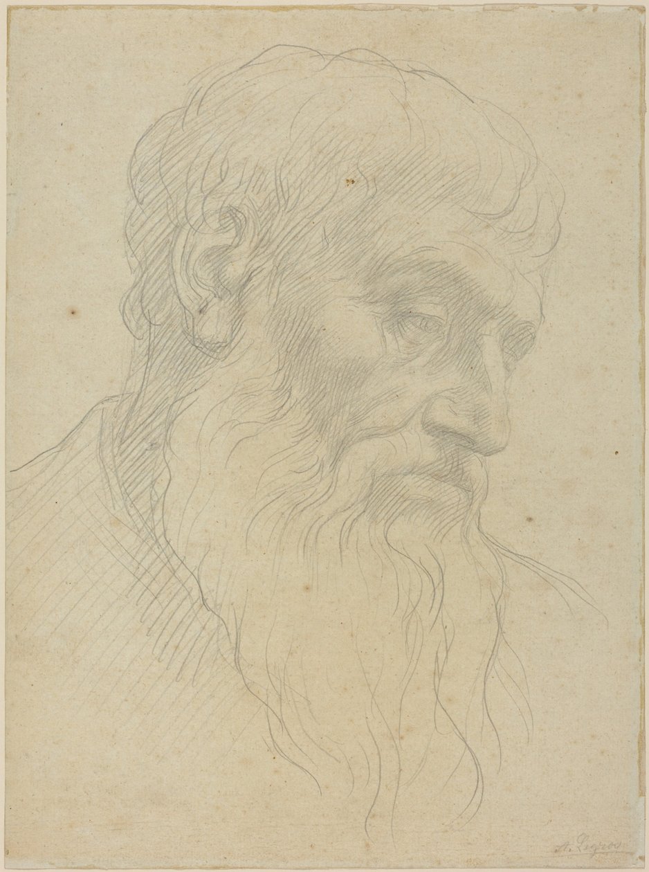 Egy fej tanulmányozása alkotó: Alphonse Legros
