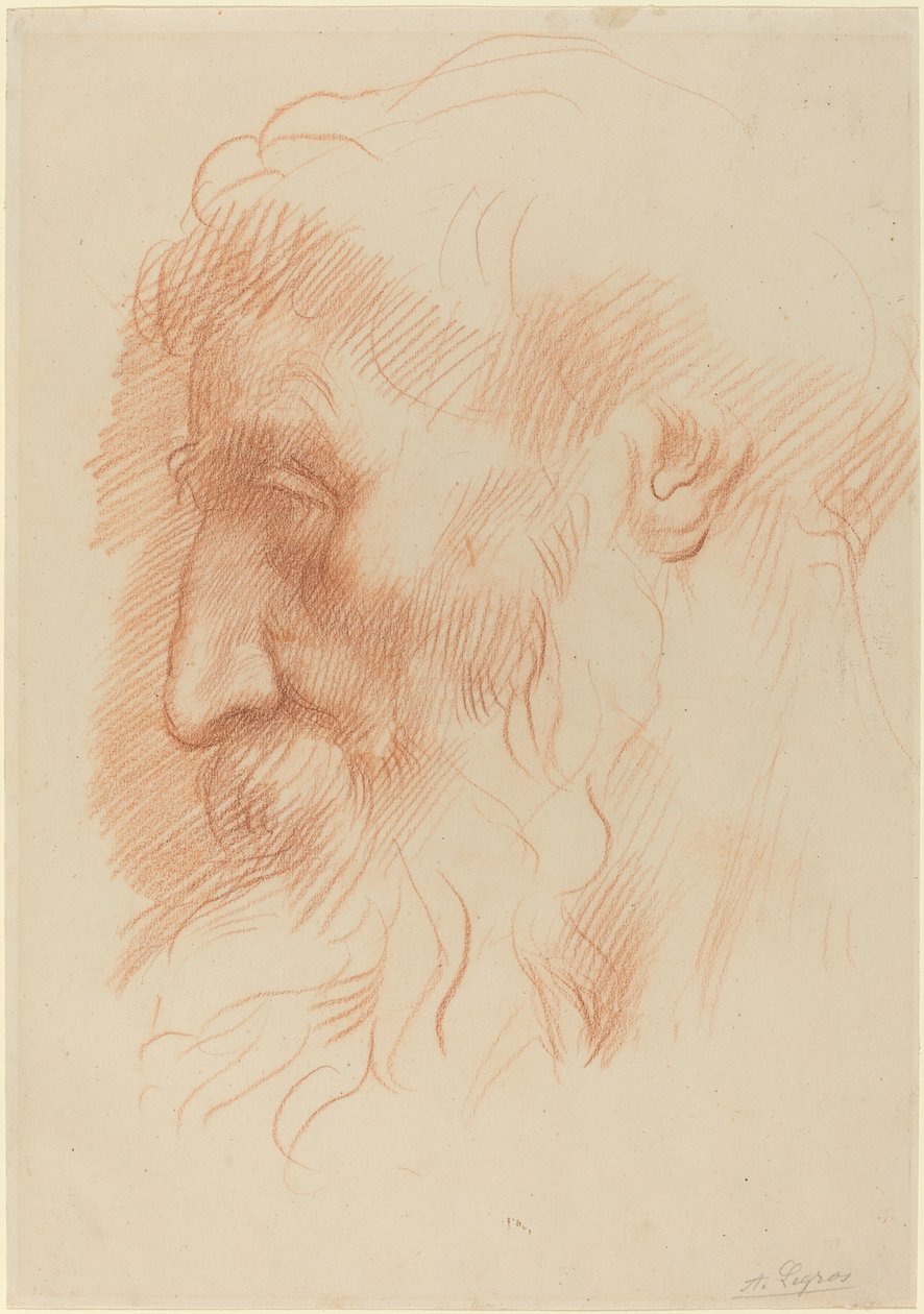 Az ember fejének tanulmányozása [recto] alkotó: Alphonse Legros