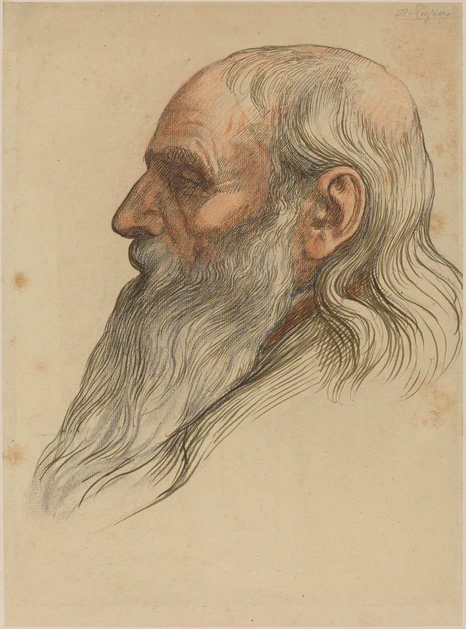 Tanulmány a teljes szakállú férfifejről alkotó: Alphonse Legros