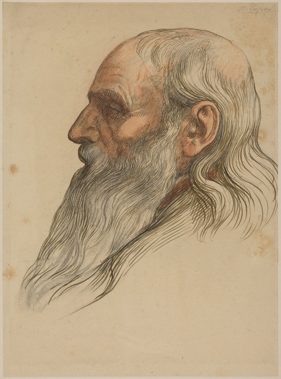 Egy teljes szakállú férfi fejének tanulmánya alkotó: Alphonse Legros