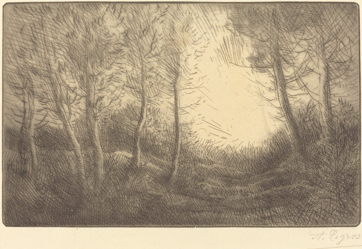 Sunrise, Woods of Clamart Napkelte, Woods of Clamart. alkotó: Alphonse Legros