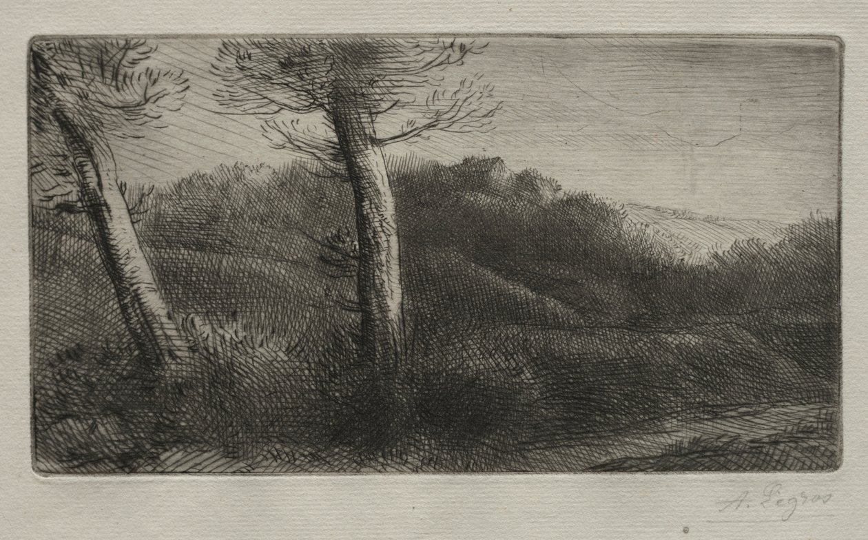 A fűre nyújtózkodó utazó c. 1888. alkotó: Alphonse Legros