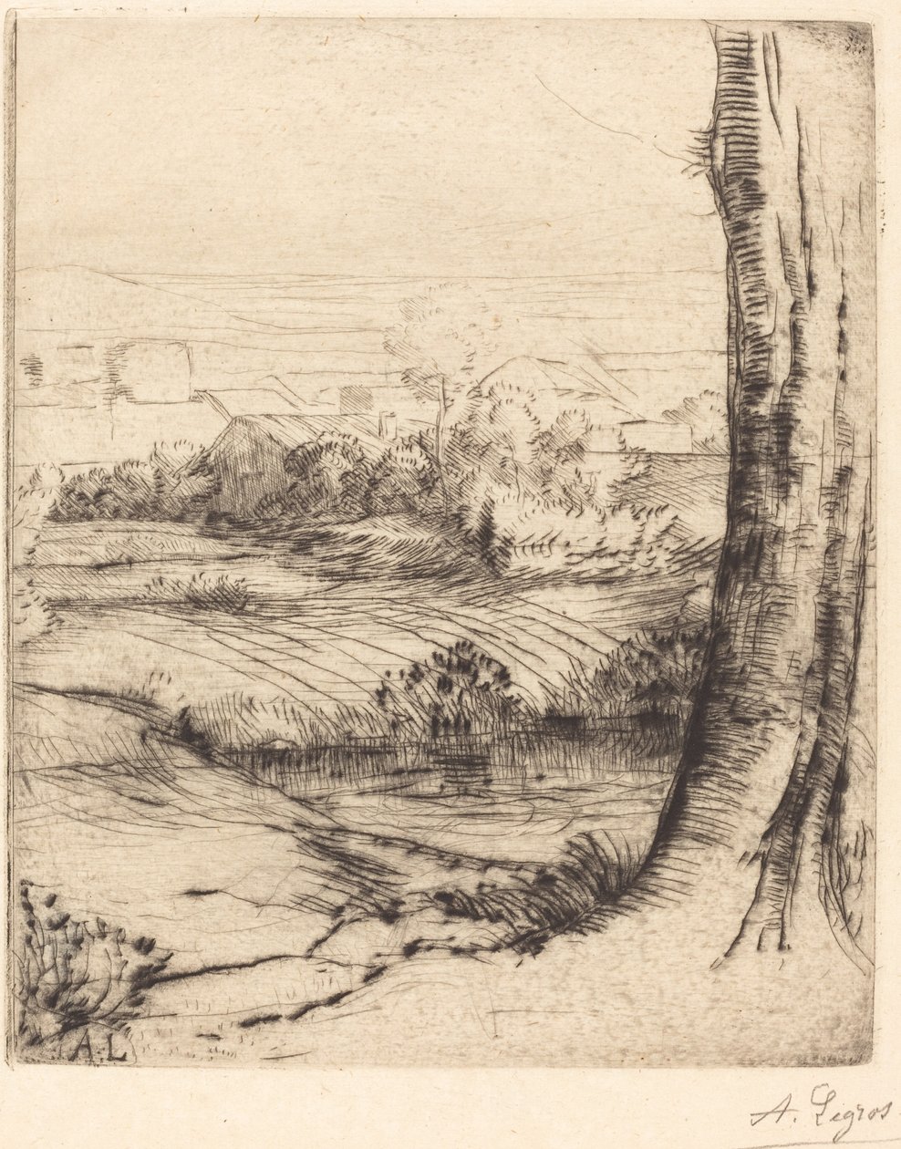 Kilátás a nádra (Coin de roseau) alkotó: Alphonse Legros